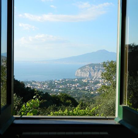 Gli Ulivi Agriturismo Sant'Agnello Exterior foto