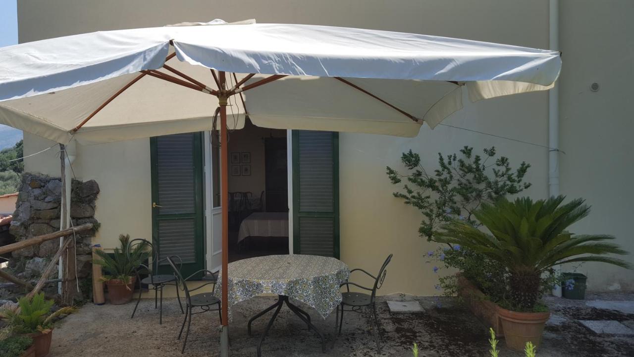 Gli Ulivi Agriturismo Sant'Agnello Exterior foto