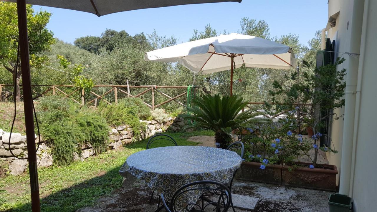Gli Ulivi Agriturismo Sant'Agnello Exterior foto
