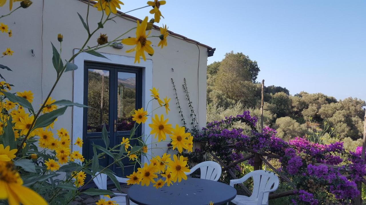 Gli Ulivi Agriturismo Sant'Agnello Exterior foto