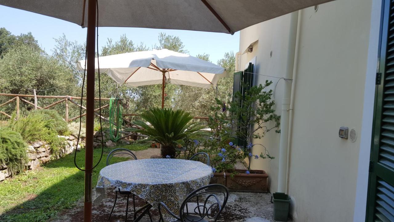 Gli Ulivi Agriturismo Sant'Agnello Exterior foto