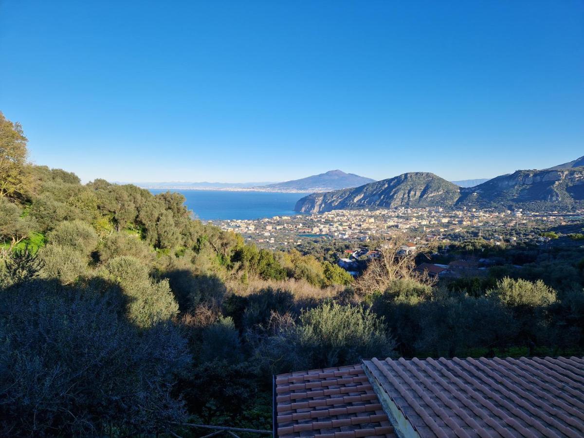 Gli Ulivi Agriturismo Sant'Agnello Exterior foto
