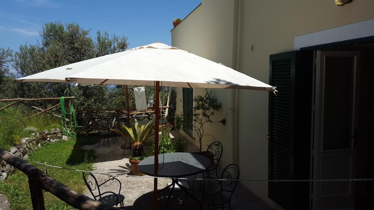 Gli Ulivi Agriturismo Sant'Agnello Exterior foto