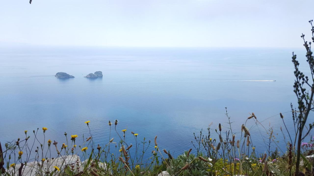 Gli Ulivi Agriturismo Sant'Agnello Exterior foto