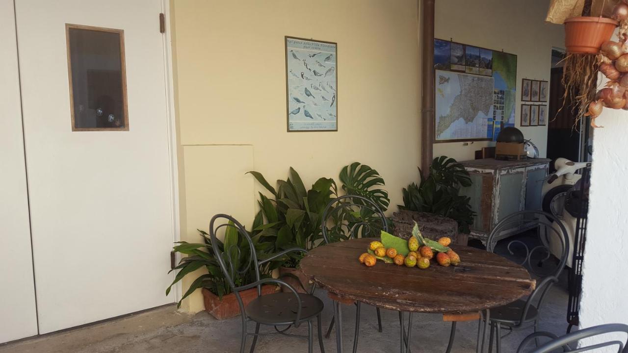 Gli Ulivi Agriturismo Sant'Agnello Exterior foto