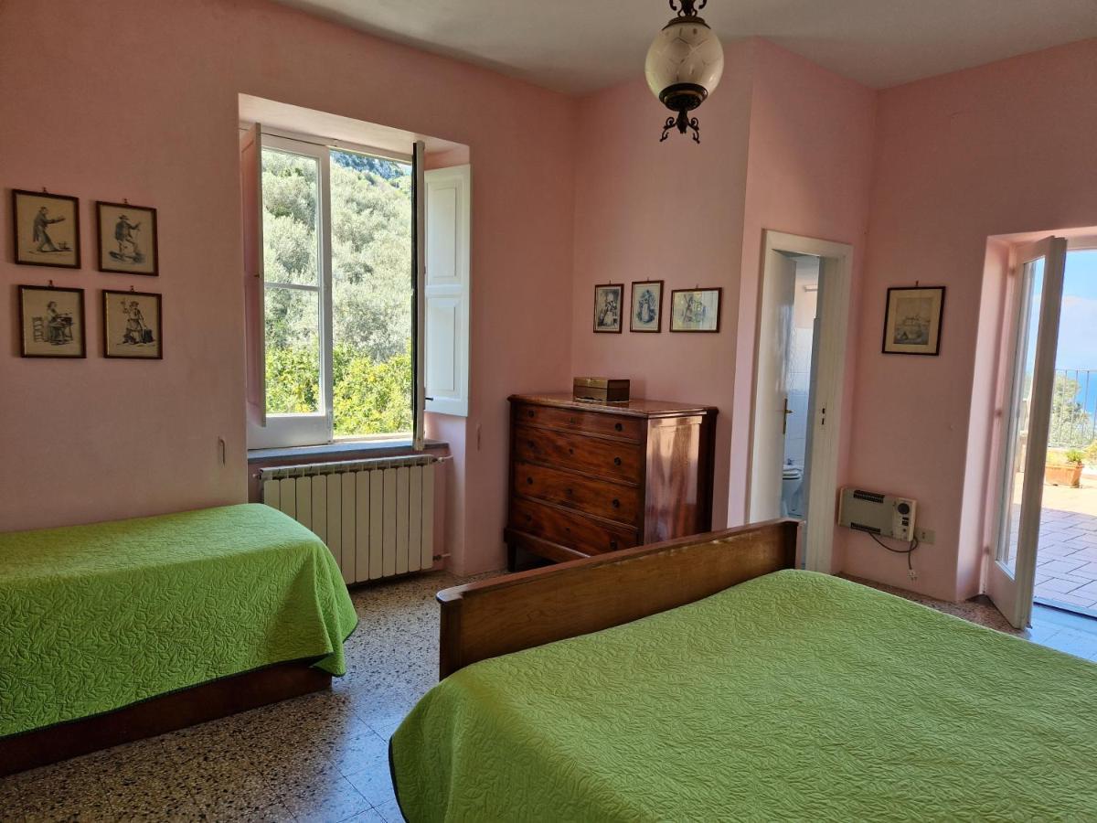 Gli Ulivi Agriturismo Sant'Agnello Exterior foto