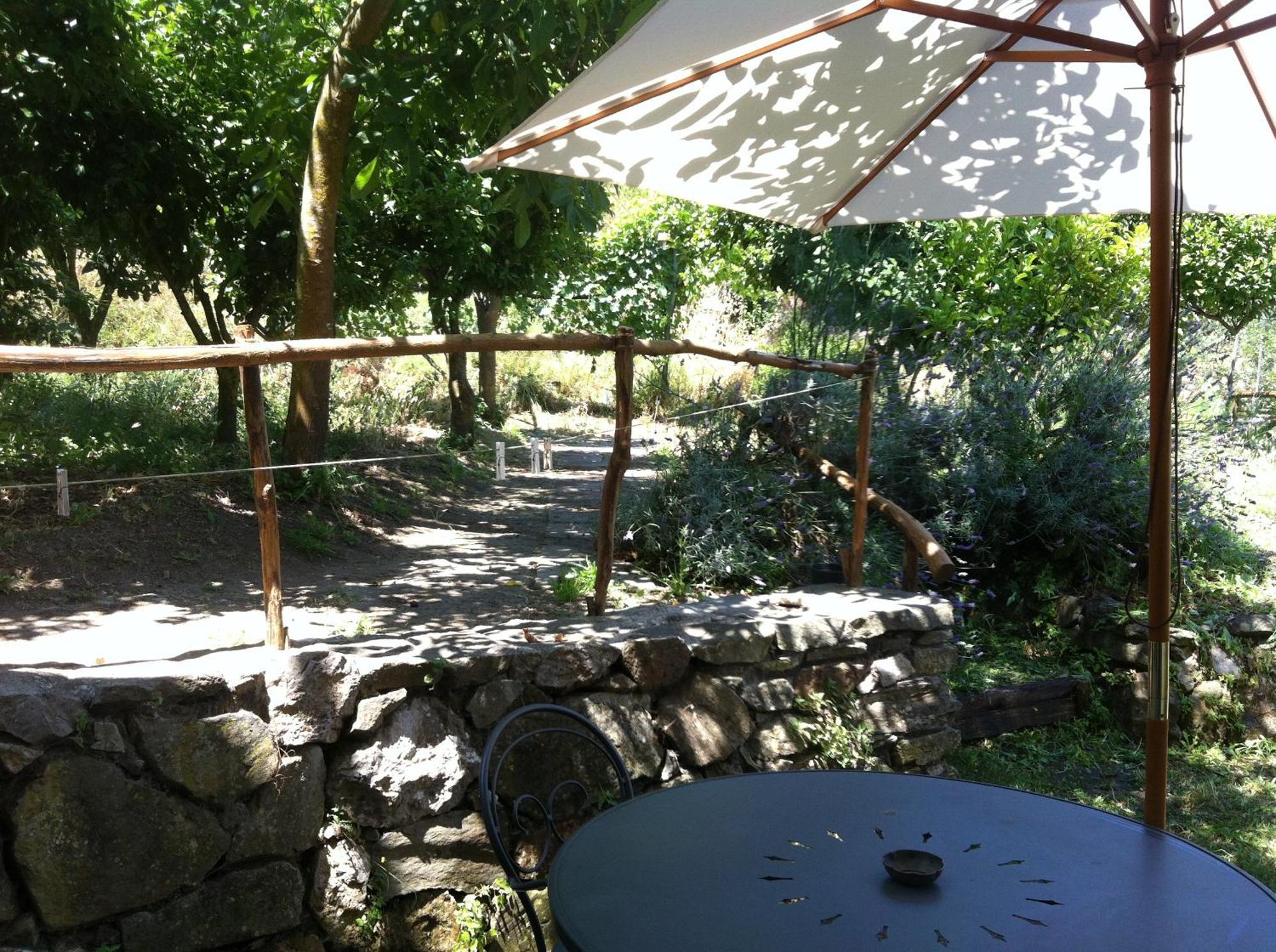 Gli Ulivi Agriturismo Sant'Agnello Exterior foto