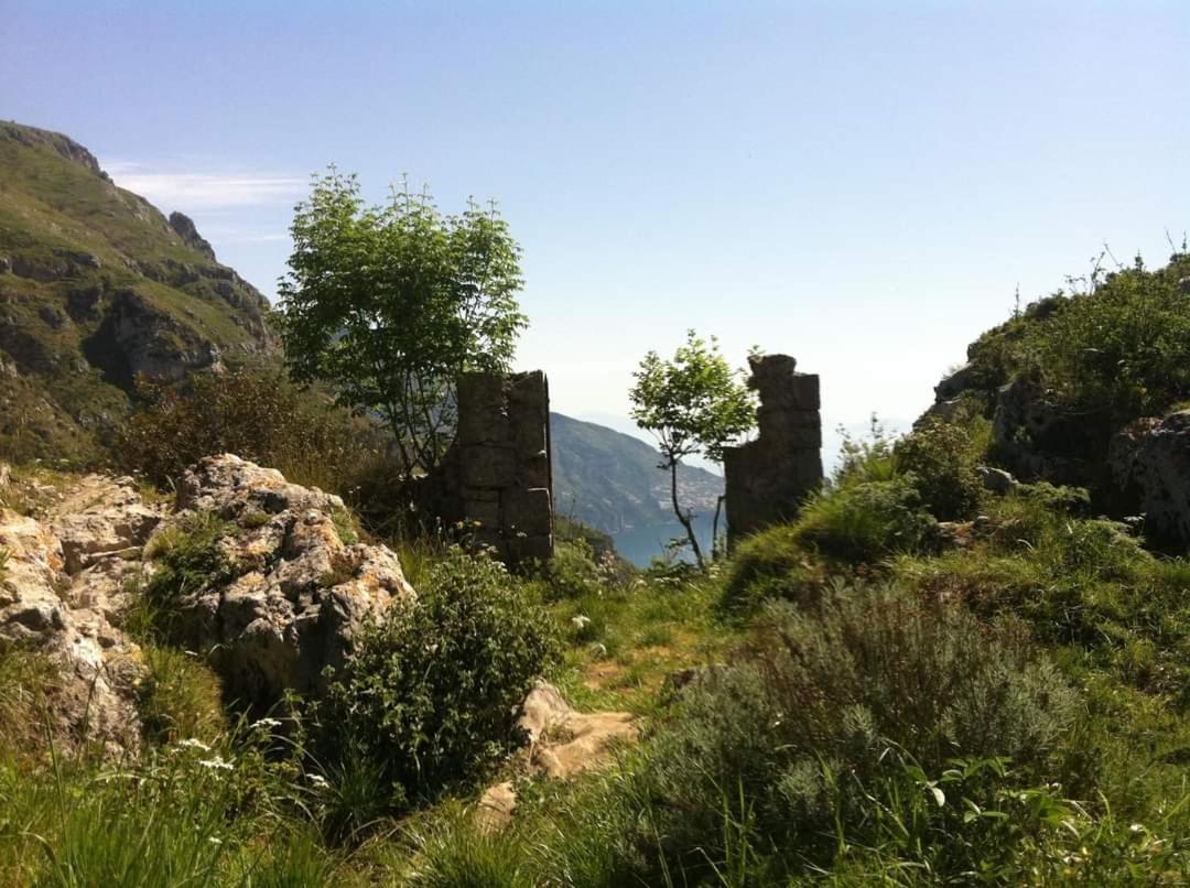 Gli Ulivi Agriturismo Sant'Agnello Exterior foto