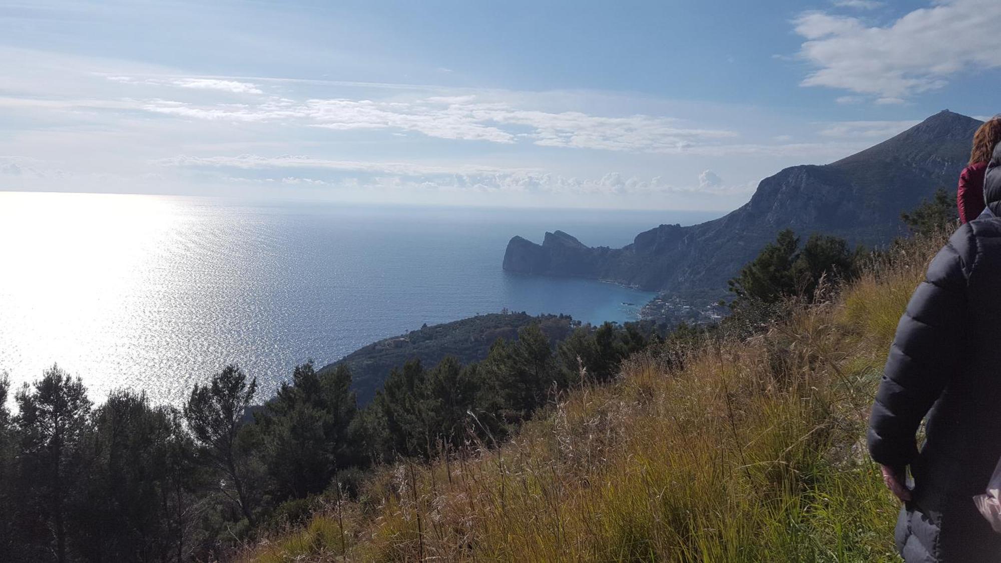 Gli Ulivi Agriturismo Sant'Agnello Exterior foto