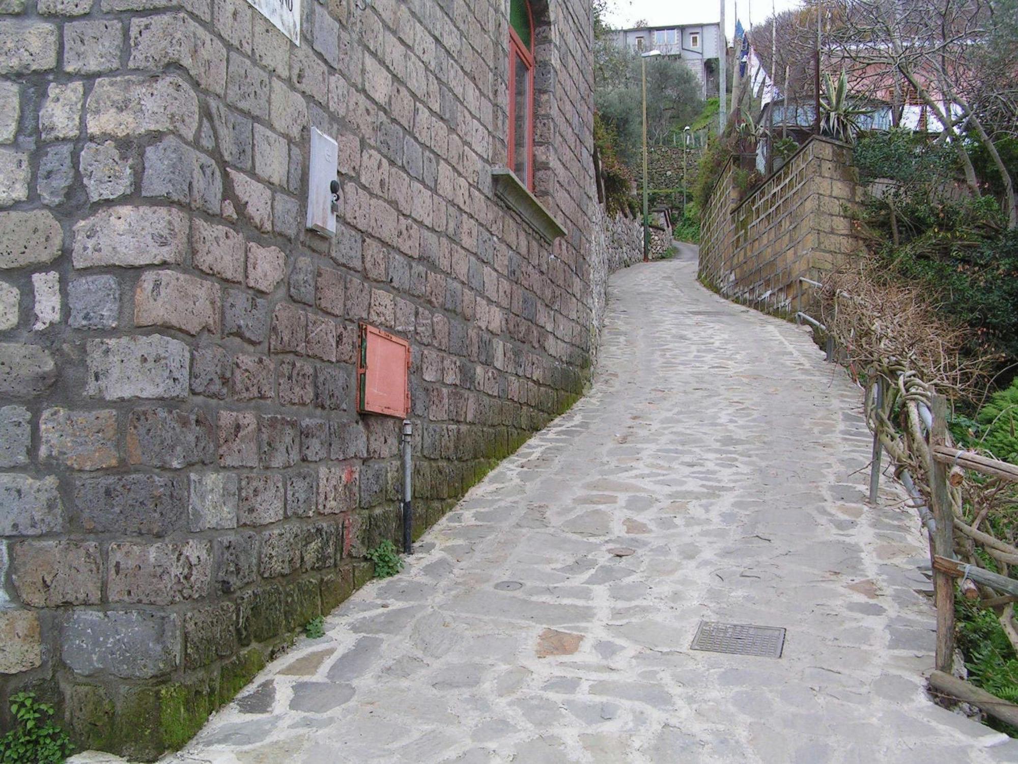 Gli Ulivi Agriturismo Sant'Agnello Exterior foto