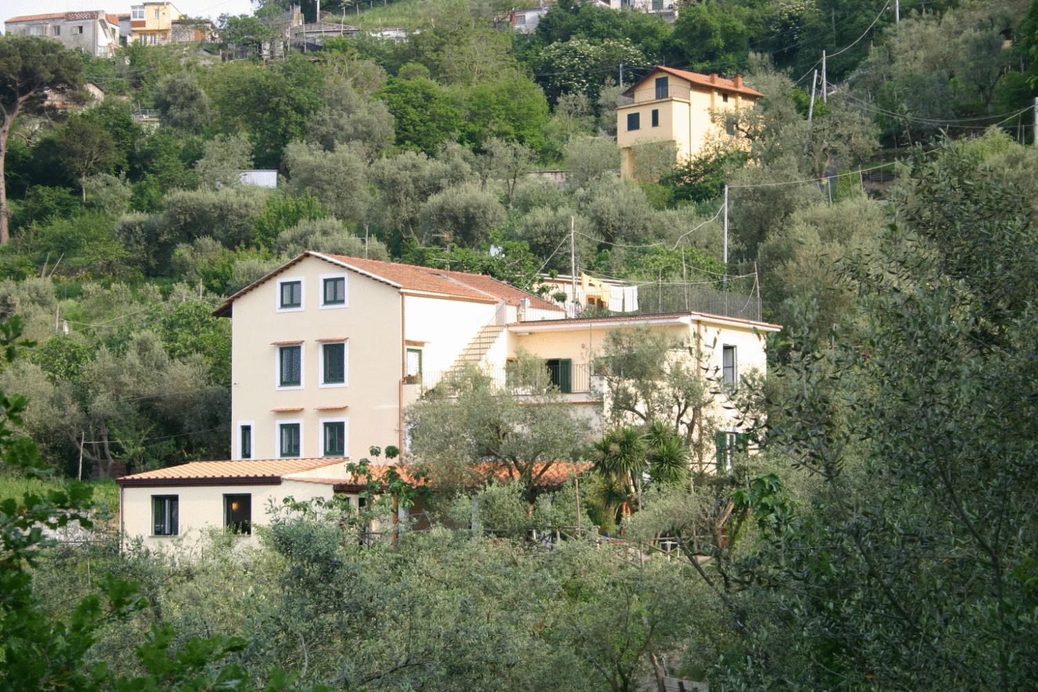 Gli Ulivi Agriturismo Sant'Agnello Exterior foto