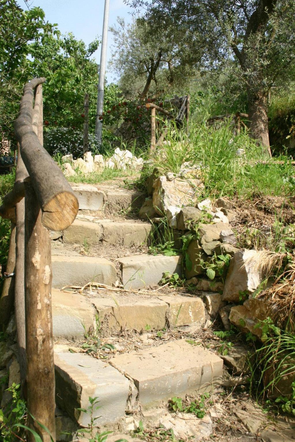 Gli Ulivi Agriturismo Sant'Agnello Exterior foto