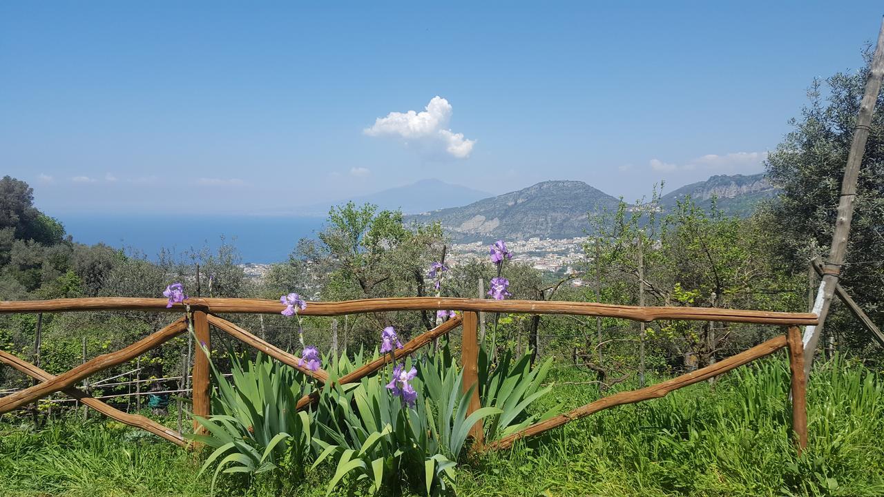 Gli Ulivi Agriturismo Sant'Agnello Exterior foto