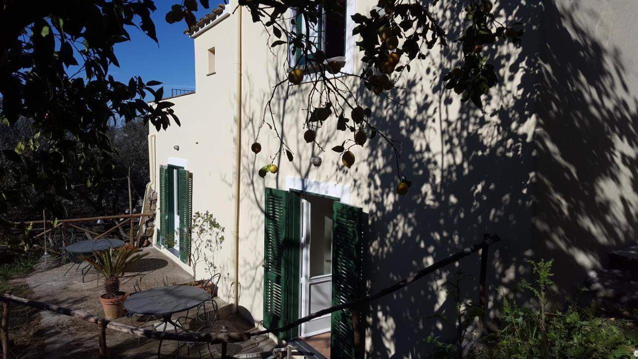 Gli Ulivi Agriturismo Sant'Agnello Exterior foto