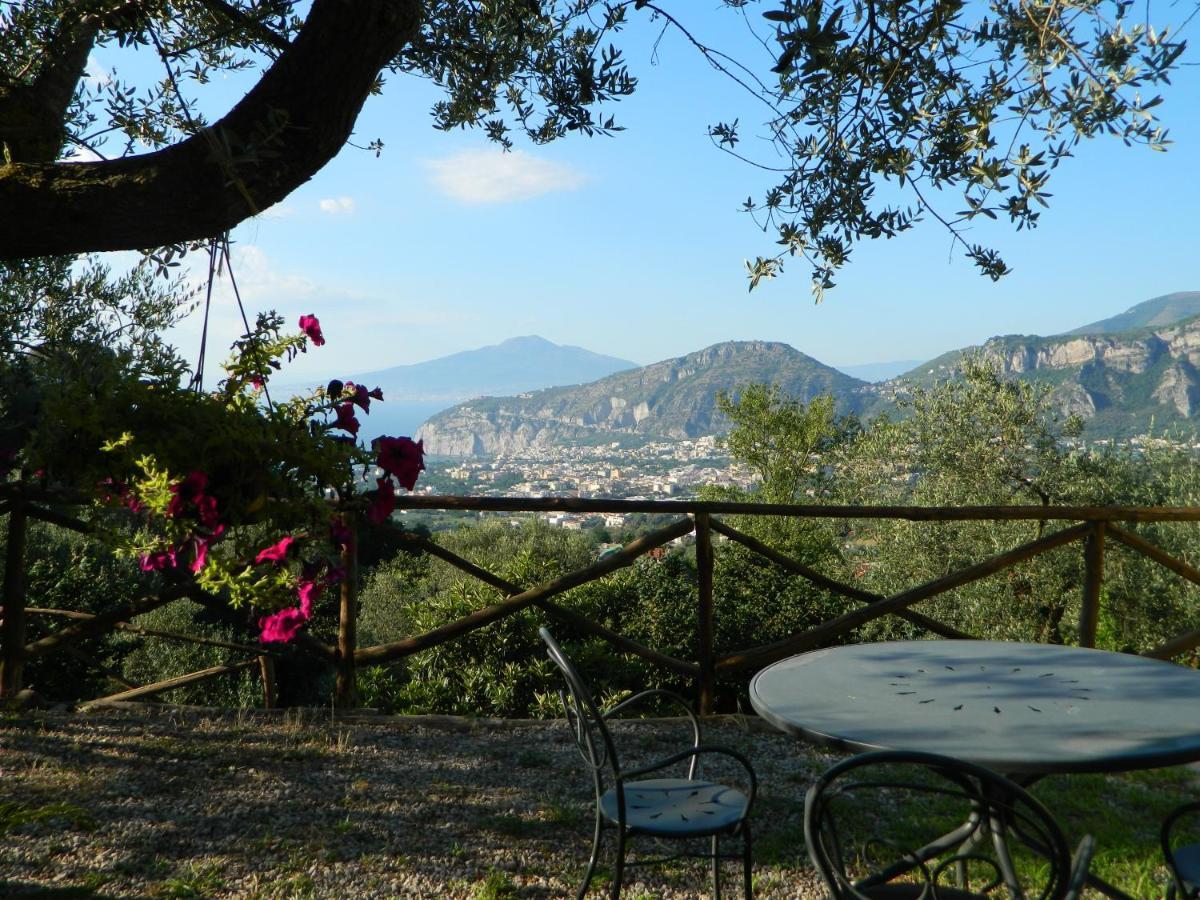 Gli Ulivi Agriturismo Sant'Agnello Exterior foto