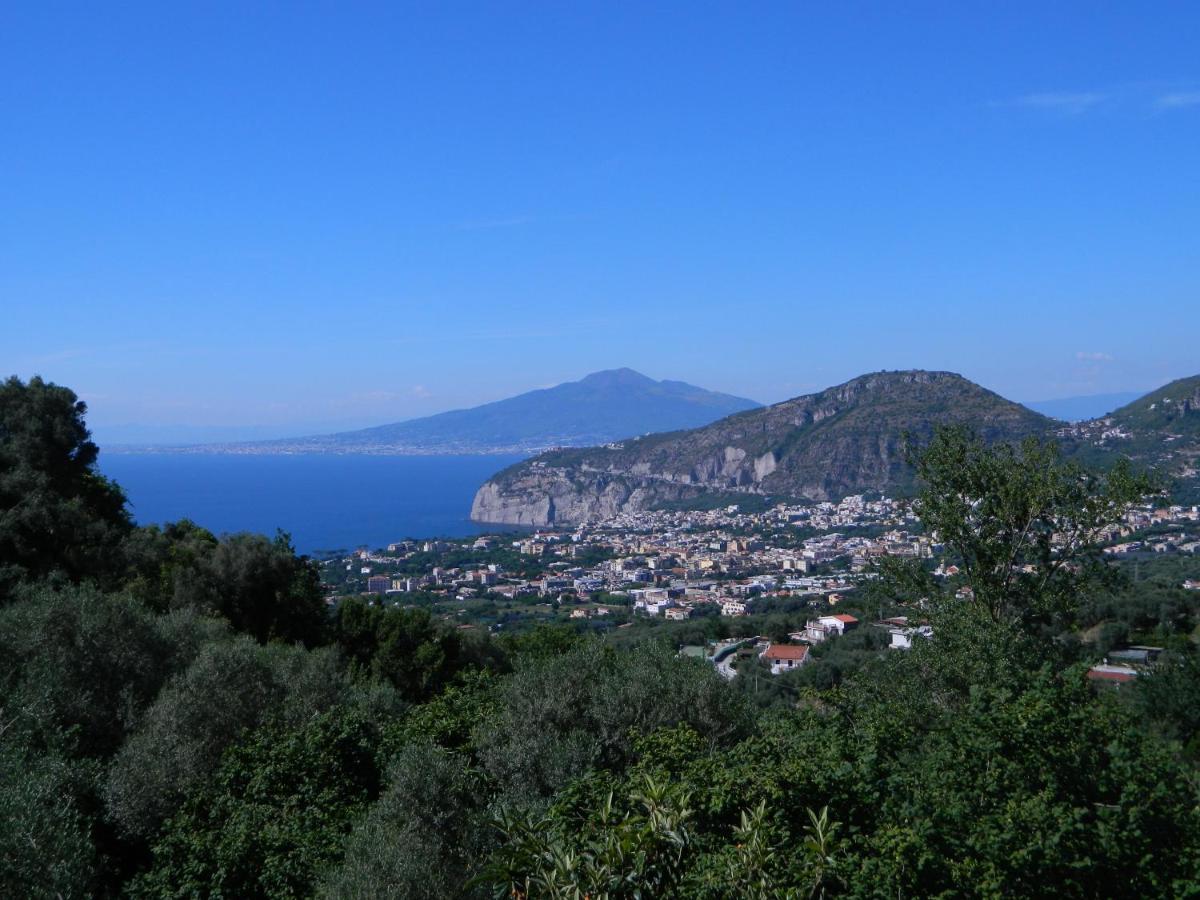 Gli Ulivi Agriturismo Sant'Agnello Exterior foto