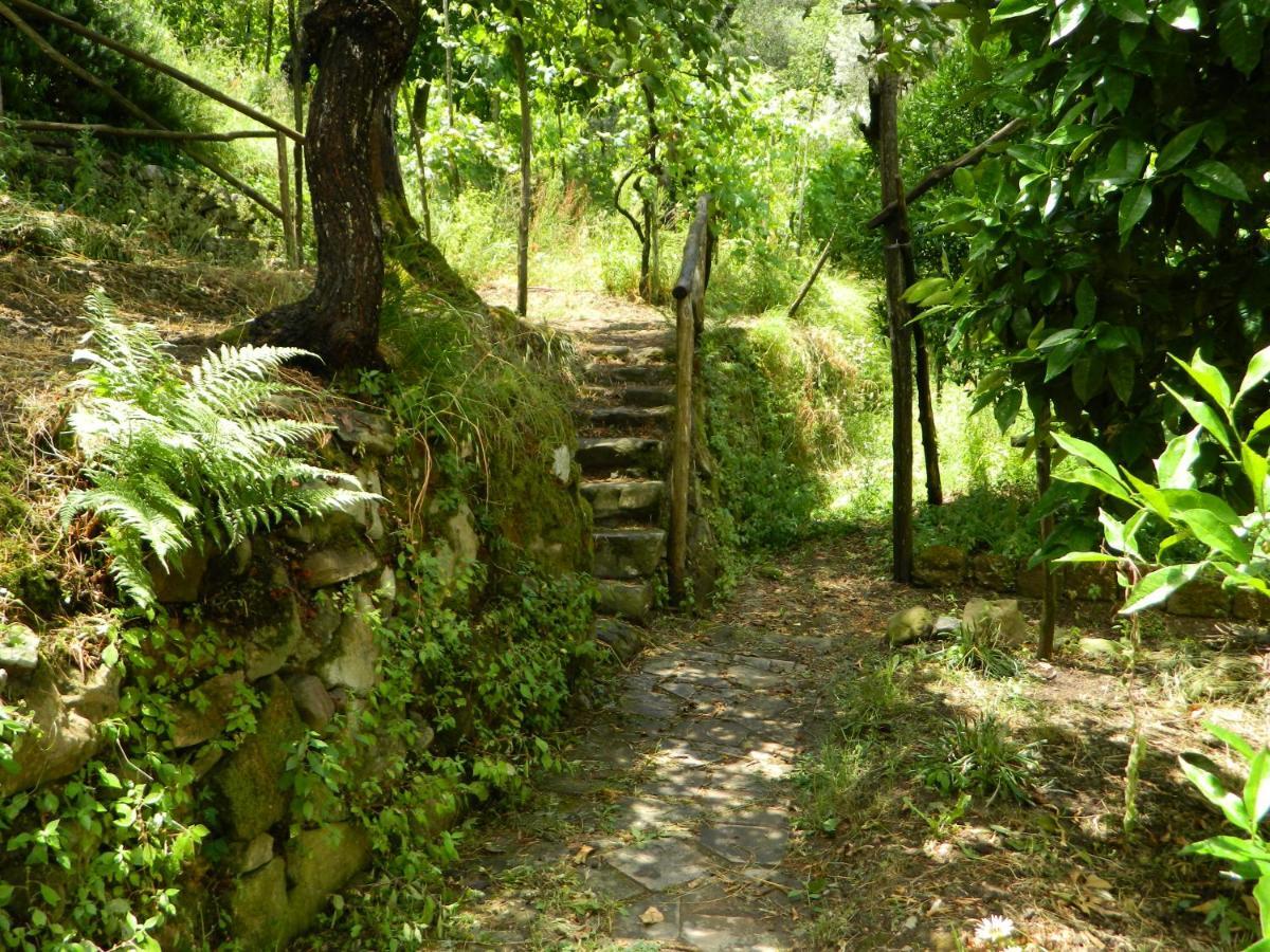 Gli Ulivi Agriturismo Sant'Agnello Exterior foto