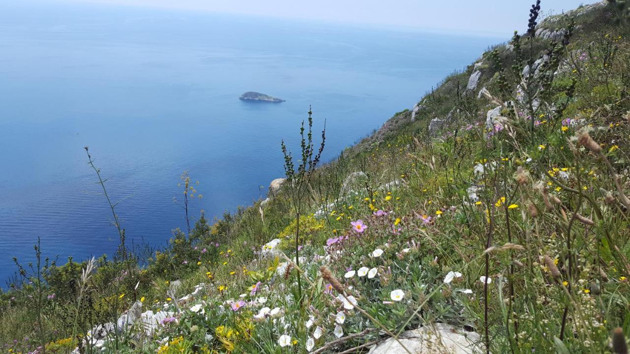 Gli Ulivi Agriturismo Sant'Agnello Exterior foto